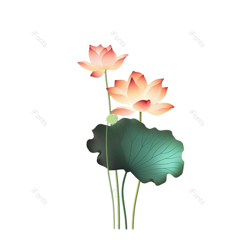 叶子图片,元素元素,清新PNG,荷花免抠素材